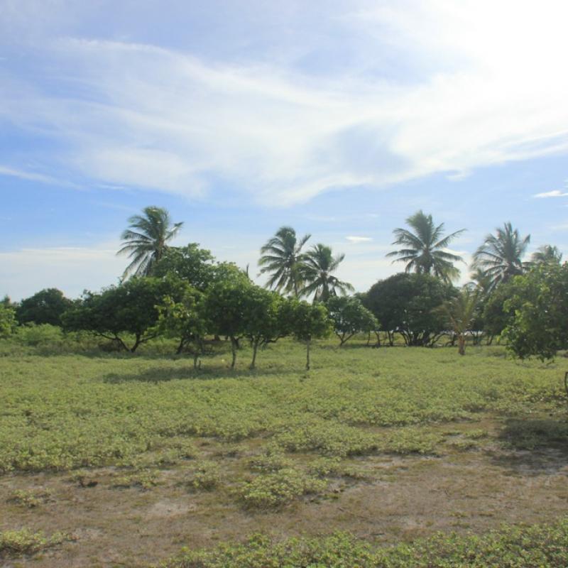 Terrain – villa - maison – propriété – à vendre – à louer – location - location longue durée – location à l’année – investissement – achat – vente – plage – bord de mer - sable blanc – Indonésie – Roti island – Bali – chambre – notaire – consultant - juridique – création - société – administration – voyage – entreprise – hôtel – commerce – restaurant – projet – visa – permis – travail – retraite – informations – découverte – aventure – produits – naturels – spa – salon – coiffure – réflexologie – savon – shampoing – anti-moustique – tourisme – plaisir – nature – surf – plongée – exploration – exotique – exotisme – massage – traditionnel – huile de massage – coucher de soleil – photos – galerie – soin de beauté – pédicure – manucure – agent immobilier – professionnel-Land - villa - house - property - for sale - rent - rental - leasing - rent annually - investment - purchase - sale - beach - sea - white sand - Indonesia - Rote island - Bali - bedroom - notary - consultant - legal - creation - company - administration - travel - business - hotel - shop - restaurant - project - visa - permit - work - retirement - information - discovery - adventure - products - natural - spa - lounge - hairdresser - reflexology - soap - shampoo – anti-mosquito – pleasure – nature – surf – diving – exploration - exotic - exotism - massage - traditional - massage oil - sunset - pictures - gallery - beauty treatment - pedicure – manicure – real estate agent – professional-Tanah - villa - rumah - properti - Dijual - disewakan - dikontrakan - menyewa per tahun - investasi - pembelian - penjualan - pantai - laut - pasir putih - Indonesia - pulau Roti - Bali - bedroom - notaris - konsultan - hukum - penciptaan - wisata - - bisnis - Hotel - bisnis - restoran - proyek - visa - izin - pekerjaan - pensiun - informasi - penemuan - petualangan - produk - spa - - alam ruang duduk - penata rambut - reflexology masyarakat - administrasi - sabun - shampoo – anti-nyamuk - Pariwisata - menyenangkan - semacam - surfing - diving – eksplorasi - eksotik - eksotis - pijat - tradisional - pijat minyak - sunset - Foto - galeri - perawatan kecantikan - pedicure – manicure – properti agen - Profesional